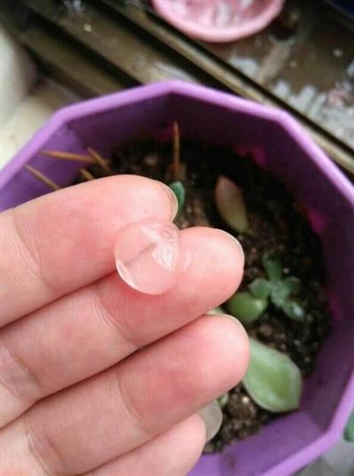 南通海门遭遇罕见冰雹雨天气 引全民晒照