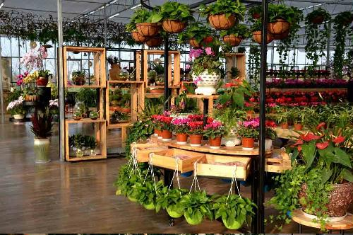 盐城市东台市五烈镇甘港村入选全国生态文化村