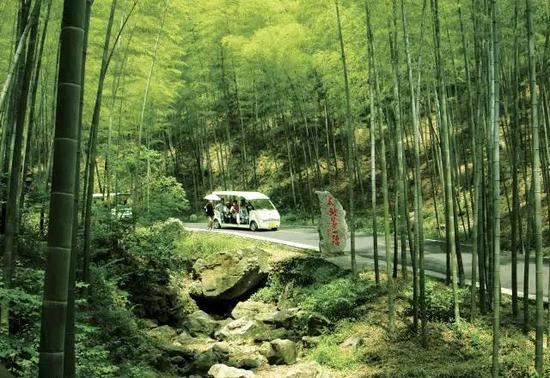 竹林小道