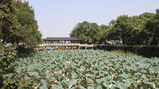 享受夏季 镇江自驾一日游
