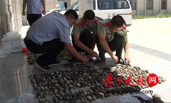 射阳男子捕杀数百只野生鸟类涉嫌犯罪(组图)