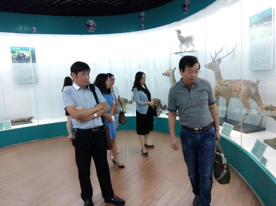 专家老师参观标本馆