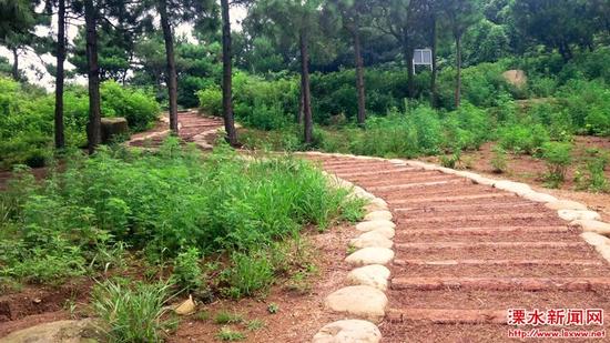 城南新区抢抓机遇奋力攻坚 加快建设美丽康居