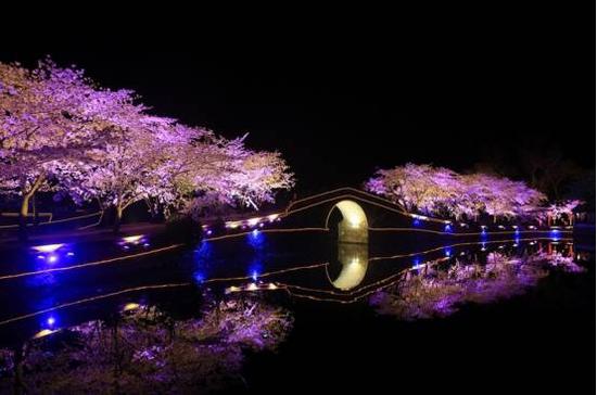 你眼中的江苏最美夜景是哪里?