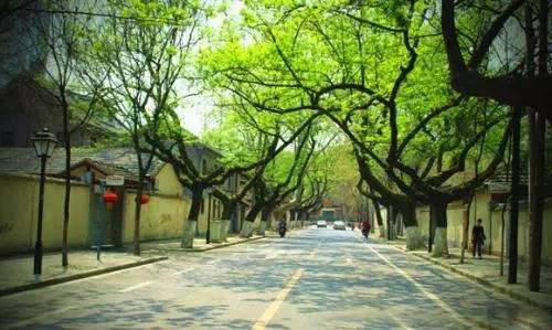 2020年南京城市建成区20%面积达到大雨不内