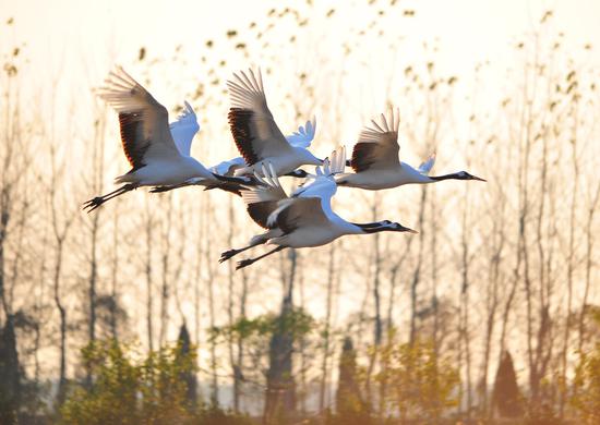 冬季到盐城 打开心扉深呼吸