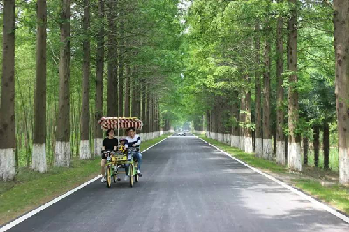 黄海森林公园荣获江苏省旅游系统先进集体称