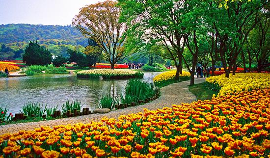 2017江苏郁金香节游玩攻略全出炉!