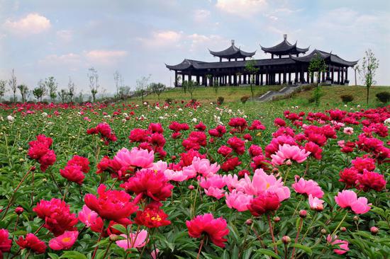 江苏乡村旅游四季赏花地名单出炉!