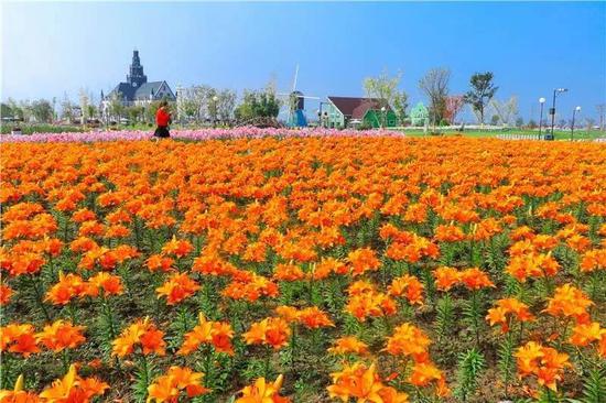 江苏乡村旅游 四季赏花地 名单出炉!