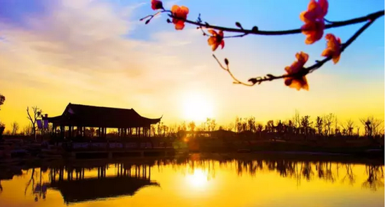 接下来的几个月,盐城大丰将带你走进一个童话