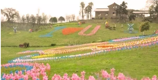 盐城东台西溪景区首届风车稻草人艺术节绚丽