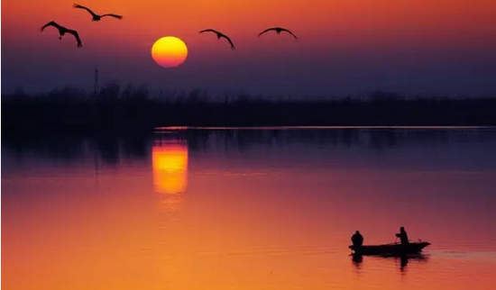大美盐城扮靓水韵江苏沿海生态旅游线路!