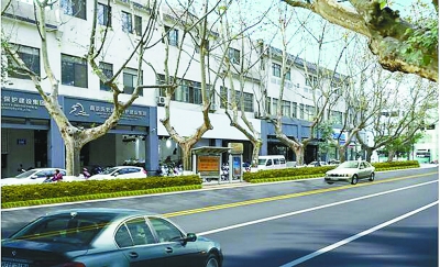 中华路侧分带绿化整治后效果图