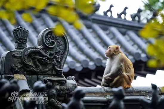 江苏最美的看海路线来啦!看海、赏景、品美食