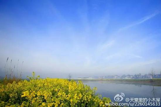 不出江苏就能看到最美油菜花海,送你一片金黄