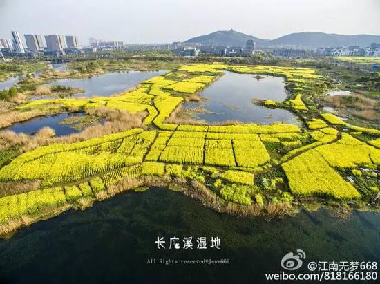 不出江苏就能看到最美油菜花海,送你一片金黄
