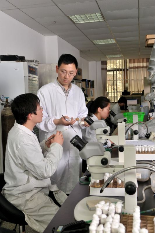 东大教授获孤独症病因研究重大突破 罪魁祸首