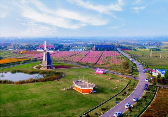 后白岩藤农场