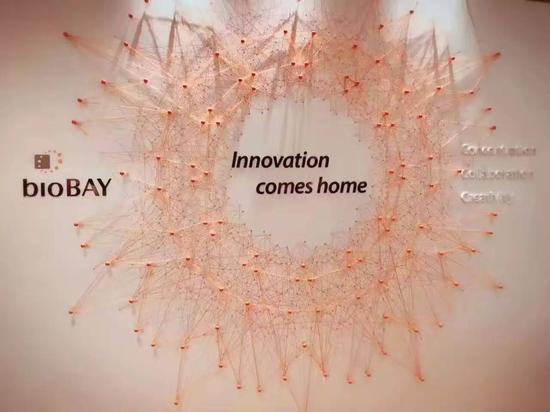 启珂年会BioBAY的展台,BioBAY中橙色代表热情和活力(桑晓东供图)