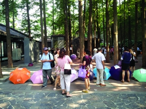 相亲有鄙视链?大萝卜没那么势利