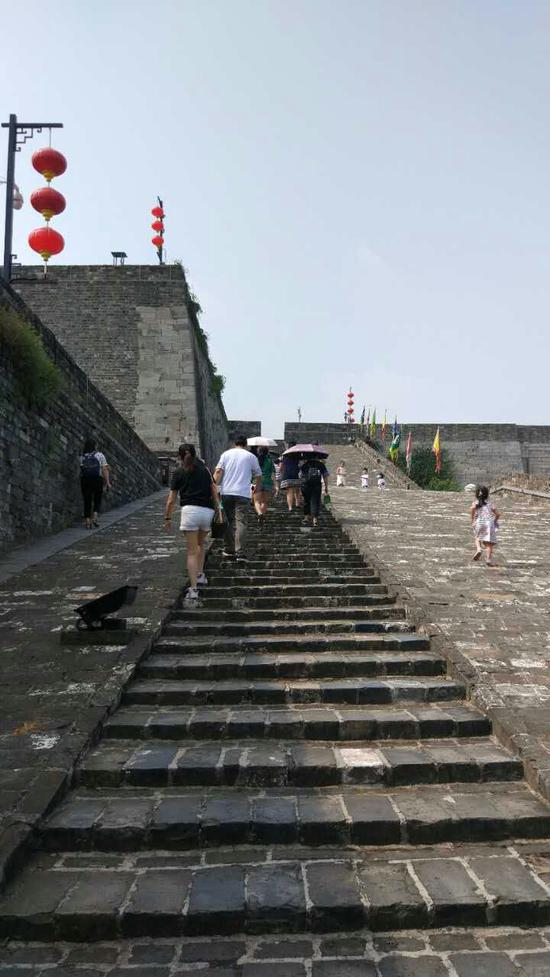 我心中的明城墙 南京明城墙全线贯通三周年特别献礼