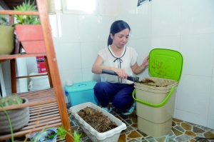 何源用厨余垃圾学做波卡西堆肥
