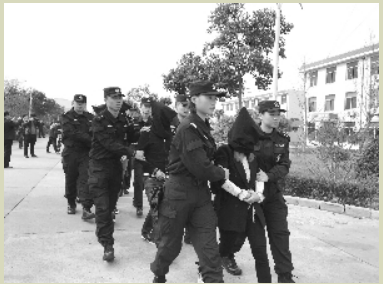 盐城百余人团伙操控网上赌场 输赢上亿