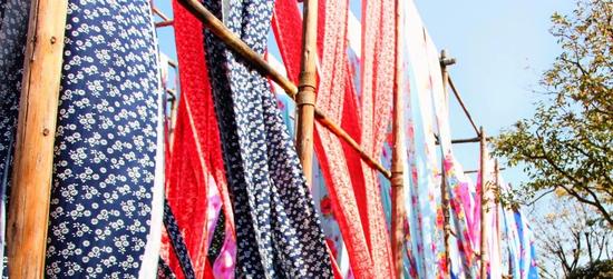 曾经的这里是万里煤坑,如今飞鸟翱翔,鱼游浅底