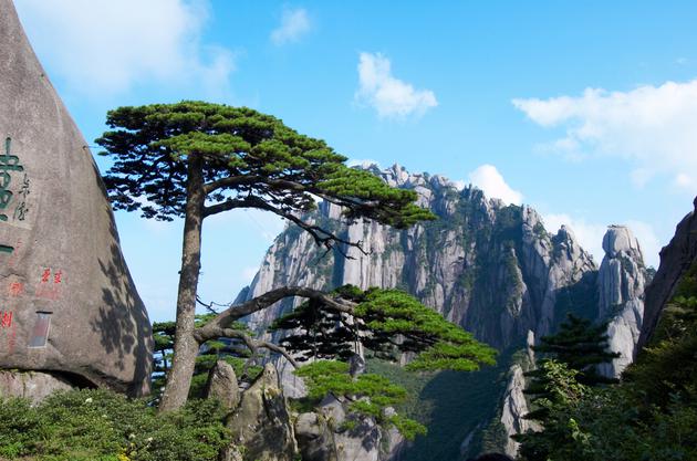 黄山迎客松 (图源:安徽省文化和旅游厅)