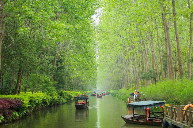 包河区滨湖国家森林公园 (图源:安徽省文化和旅游厅)