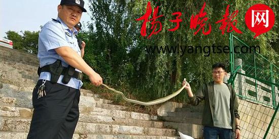 3米长婴儿手臂粗大蛇入室扰民 被扬州民警擒获放生