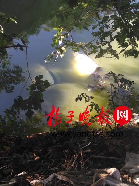 轿车凌空飞进河 路人上演现实版“猴子捞月”捞人