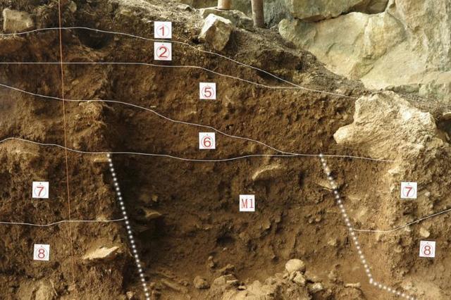 南京专家发现最早淀粉化石 距今已有2.8亿年历史