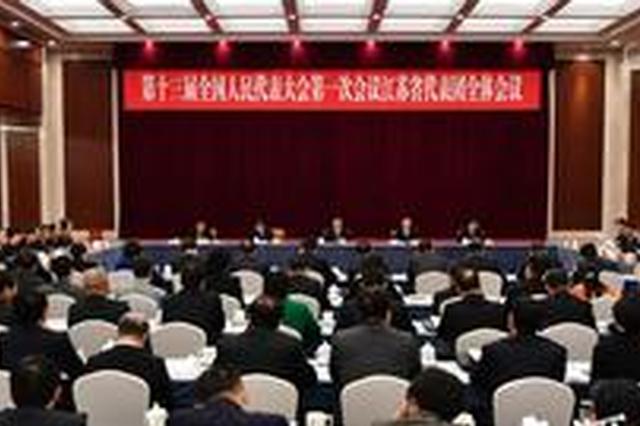 为发展献良策 江苏代表团提交15件议案、351件建议