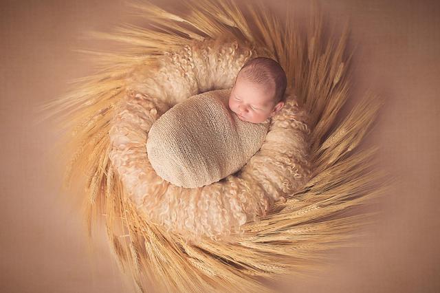 15天带薪“护理假”以外 江苏奶爸还有望享受共同育儿假