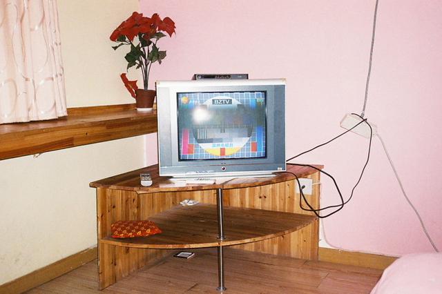 夫妻看展览“顺”走大彩电 称想“孝敬”老母