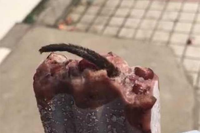 "冰棍吃出老鼠尾巴"厂家被索赔十万?市民:未接触厂家