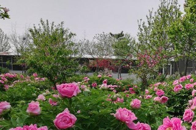 江苏省委今年一号文件正式发布 聚焦乡村振兴战略