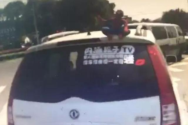 车顶摆玩偶属违法 江苏开启处罚模式：扣2分、罚50元