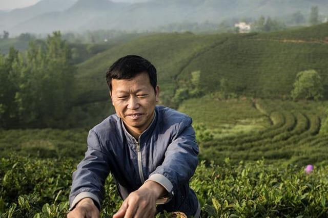 省委今年一号文件正式发布 聚焦贯彻落实乡村振兴战略