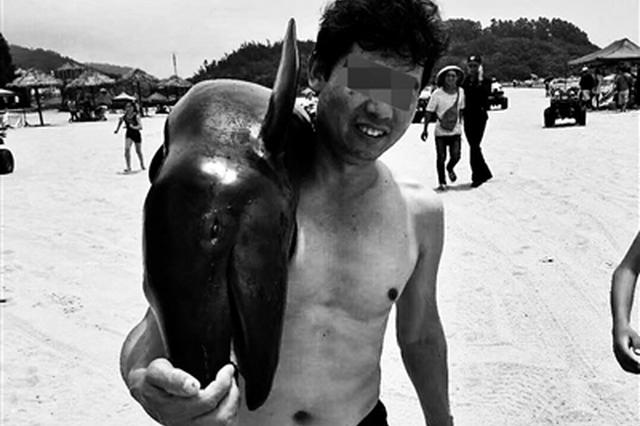 “海豚”搁浅沙滩 游客竟然私自扛走