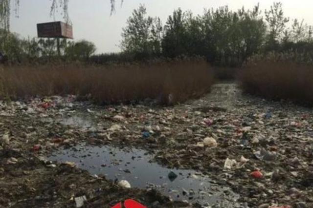 连云港多个政府部门往公园倒垃圾：7天内整治到位