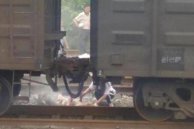 情侣想当网红爬火车拍抖音 男子惨被高压电烧伤险送命