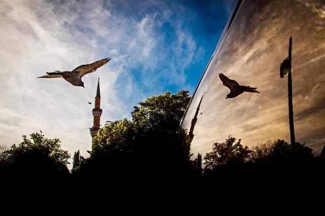 @江苏人 这些“聪明计划”与你息息相关