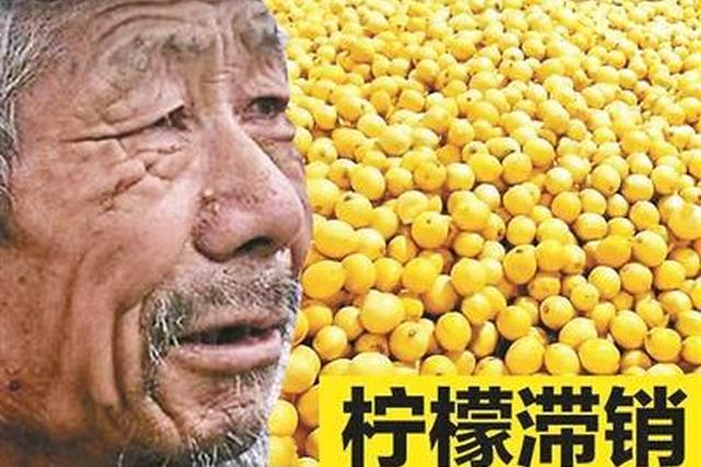 “滞销大爷”家里没滞销水果 原图拍摄者称要维权