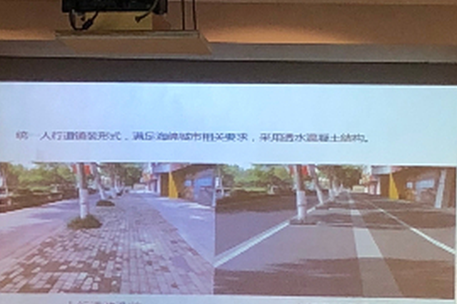 5月14日起南北交通大动脉龙蟠中路 启动环境综合整治