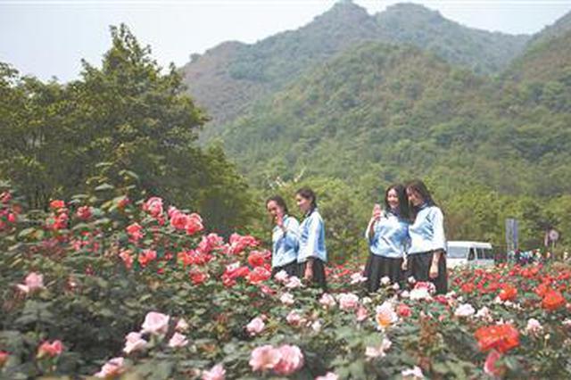 5·12汶川地震十年重走援建路 处处可见“江苏印记”