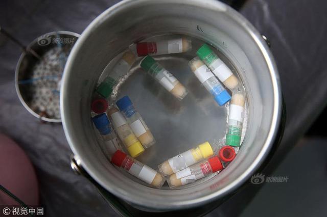 河北精子库现大学生组团捐精 还有人由女友陪伴