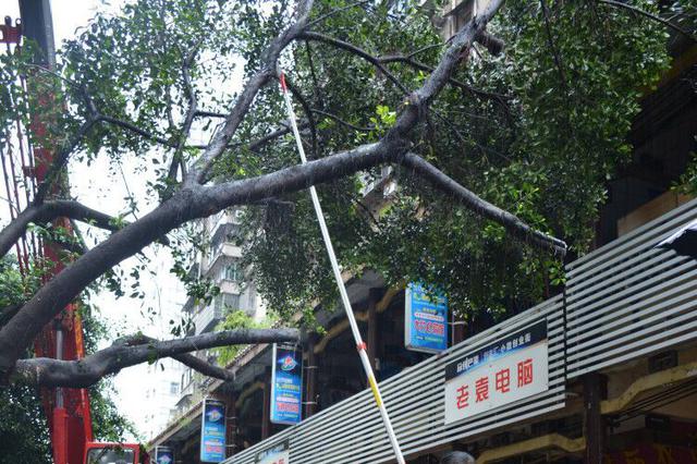 溧阳公证常州首个手机号码继承 公证机关：通信公司无权收回